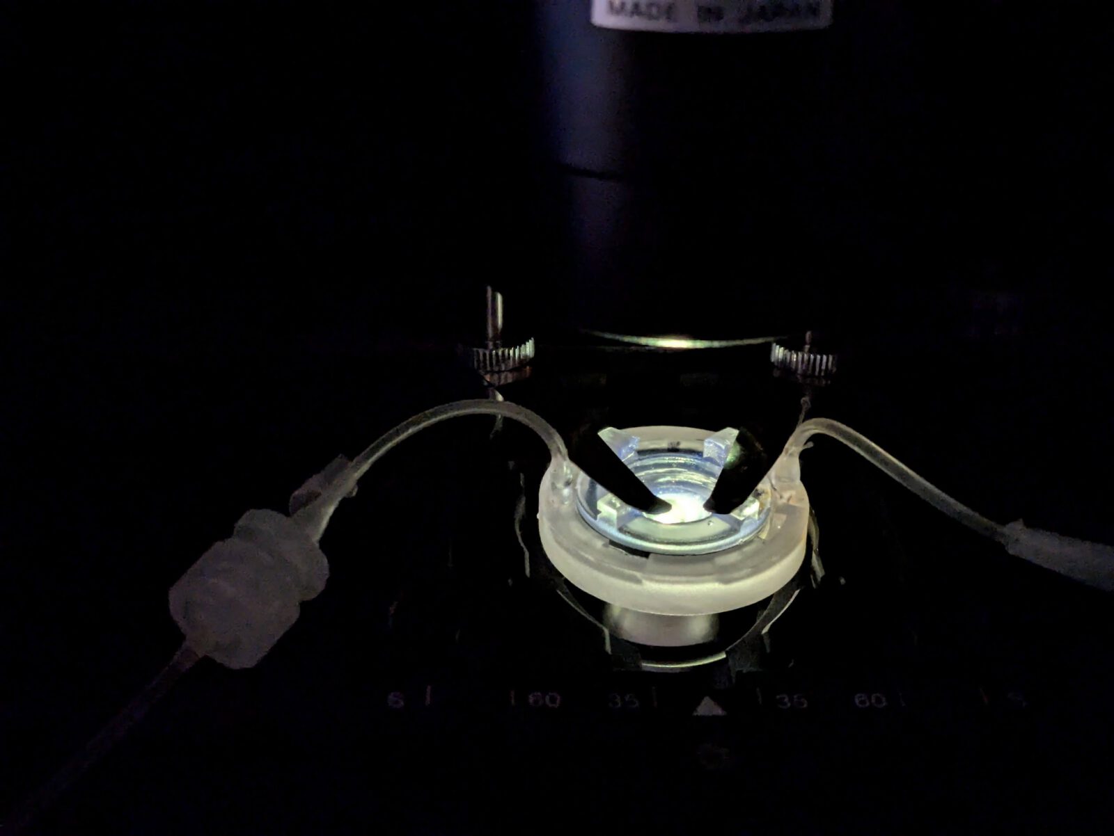 Development of a Novel Sensorized Bioreactor for Real-Time Bioimpedance Analysis of Cell Cultures