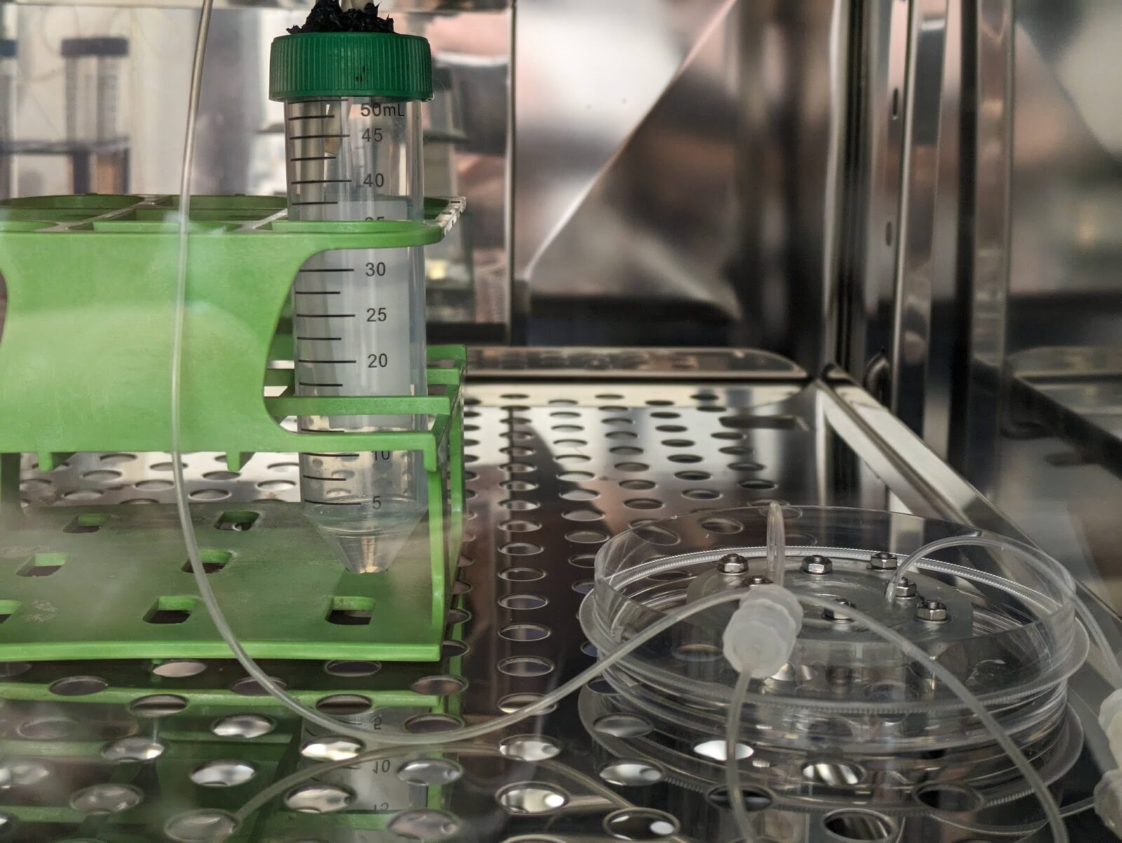 Design, development and validation of a standalone Perfusion Bioreactor for Endothelial Cell Cultivation